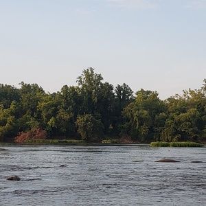 Meet your Posher, Madeleine